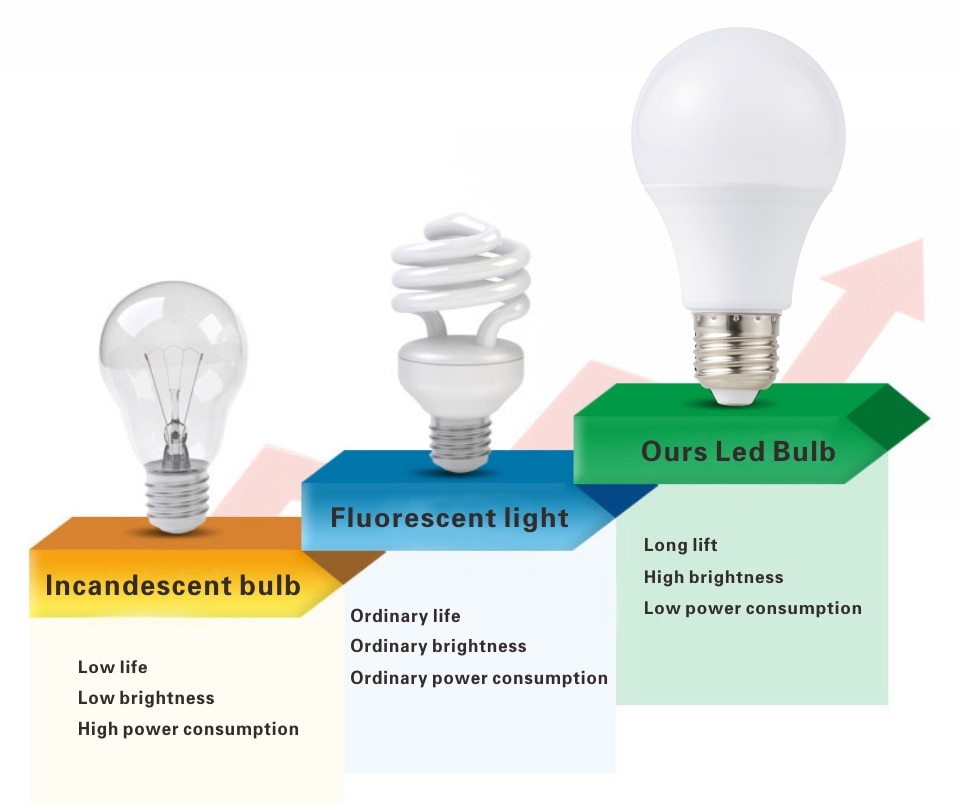 Cold / Warm White LED Bulb